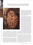 Magazine Article